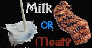 milk or meat